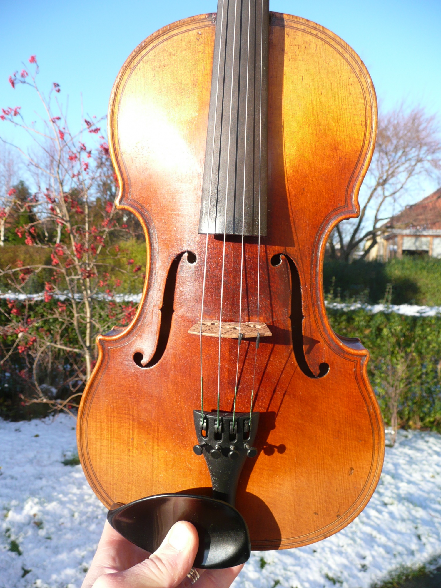 Omgivelser tank ser godt ud Strygeintrumenter til salg (violin, bratch, cello kontrabas til salg)