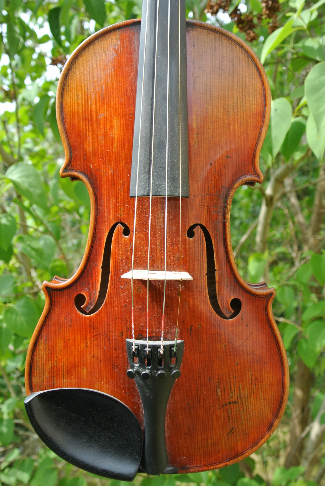 Omgivelser tank ser godt ud Strygeintrumenter til salg (violin, bratch, cello kontrabas til salg)